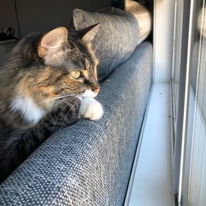 Meet your Posher, Sara